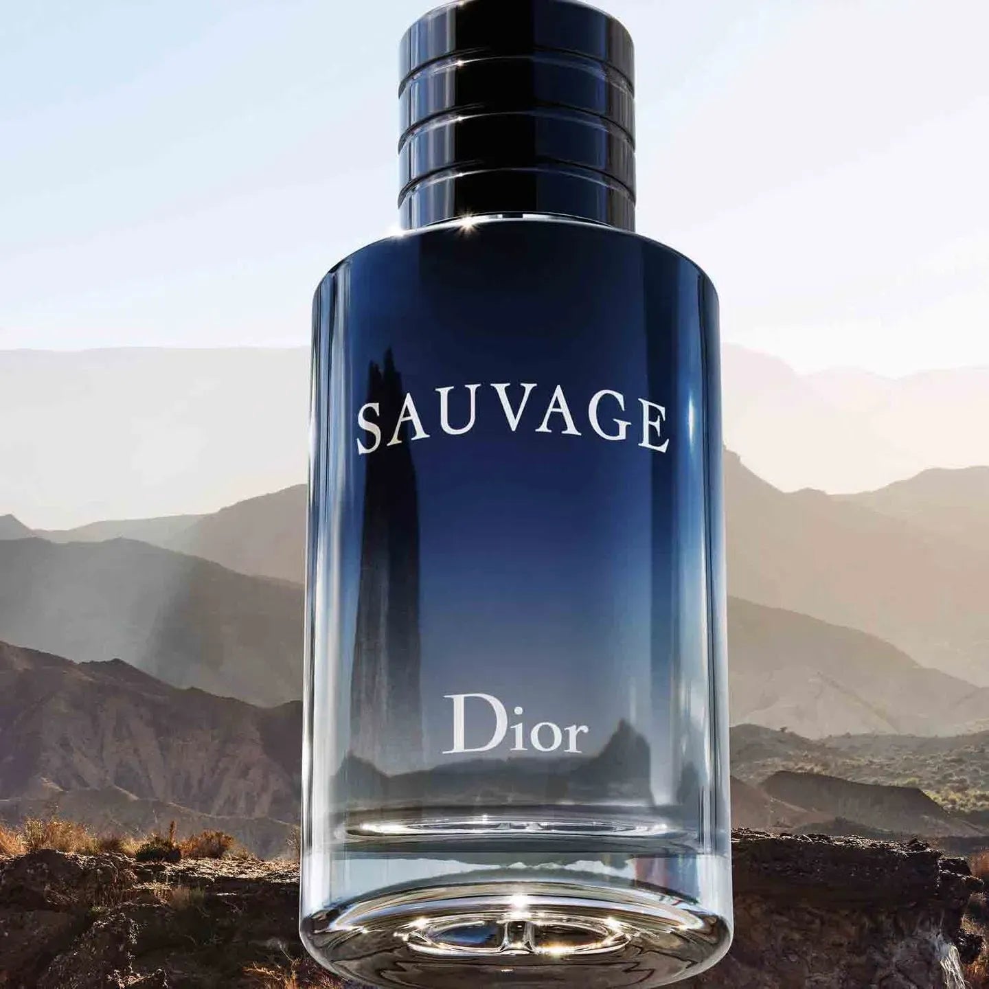 SAUVAGE EDT