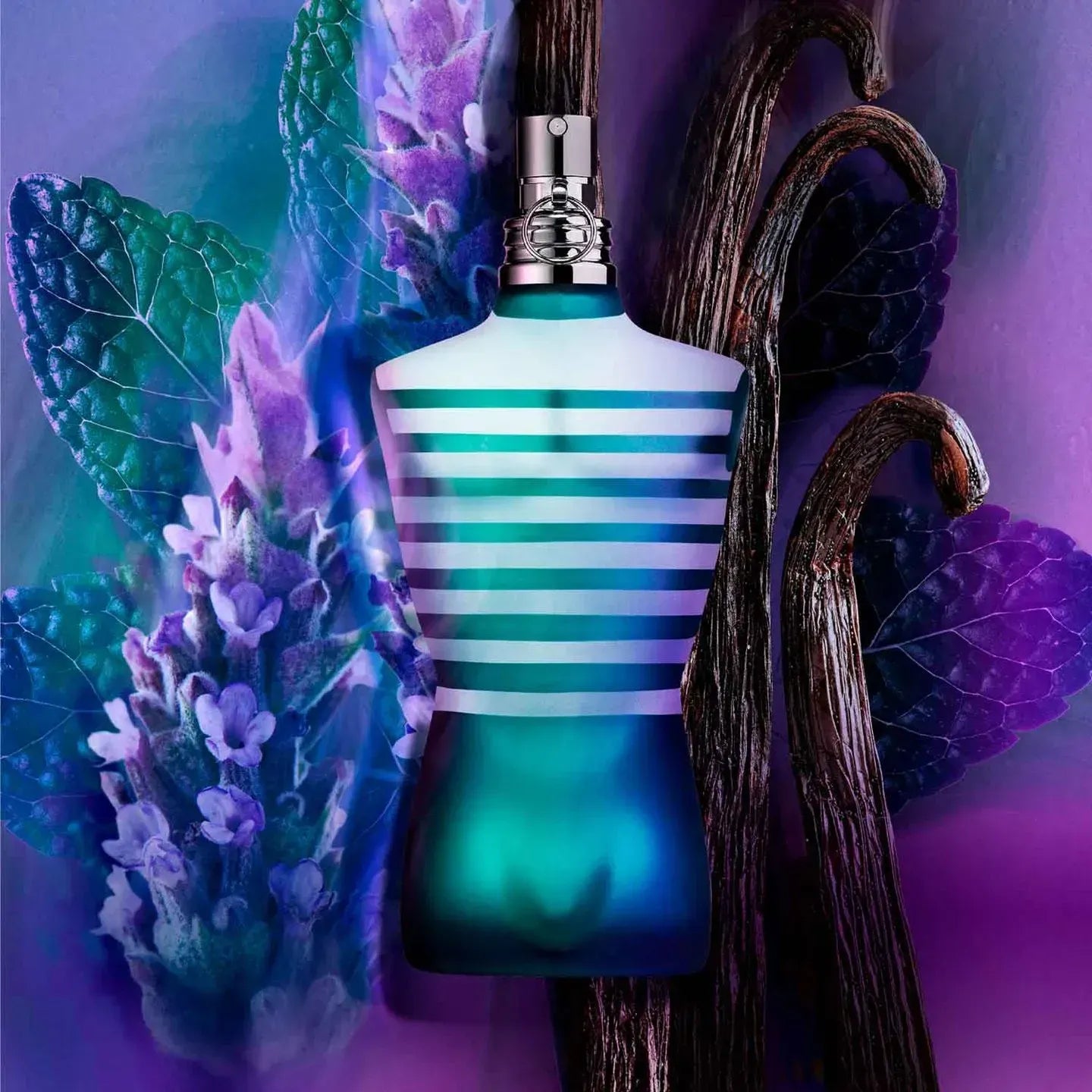 LE MALE EDT