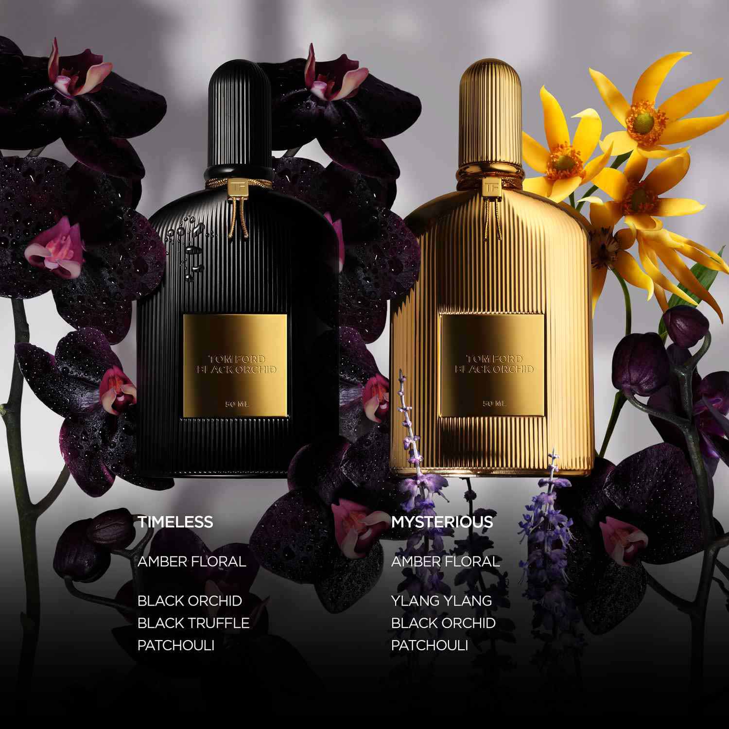 BLACK ORCHID