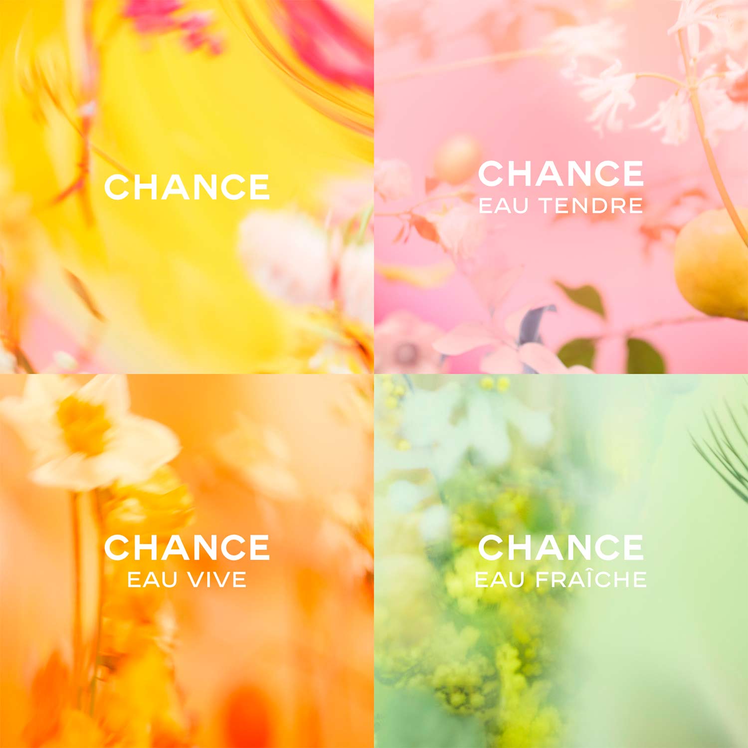 CHANCE EAU TENDRE