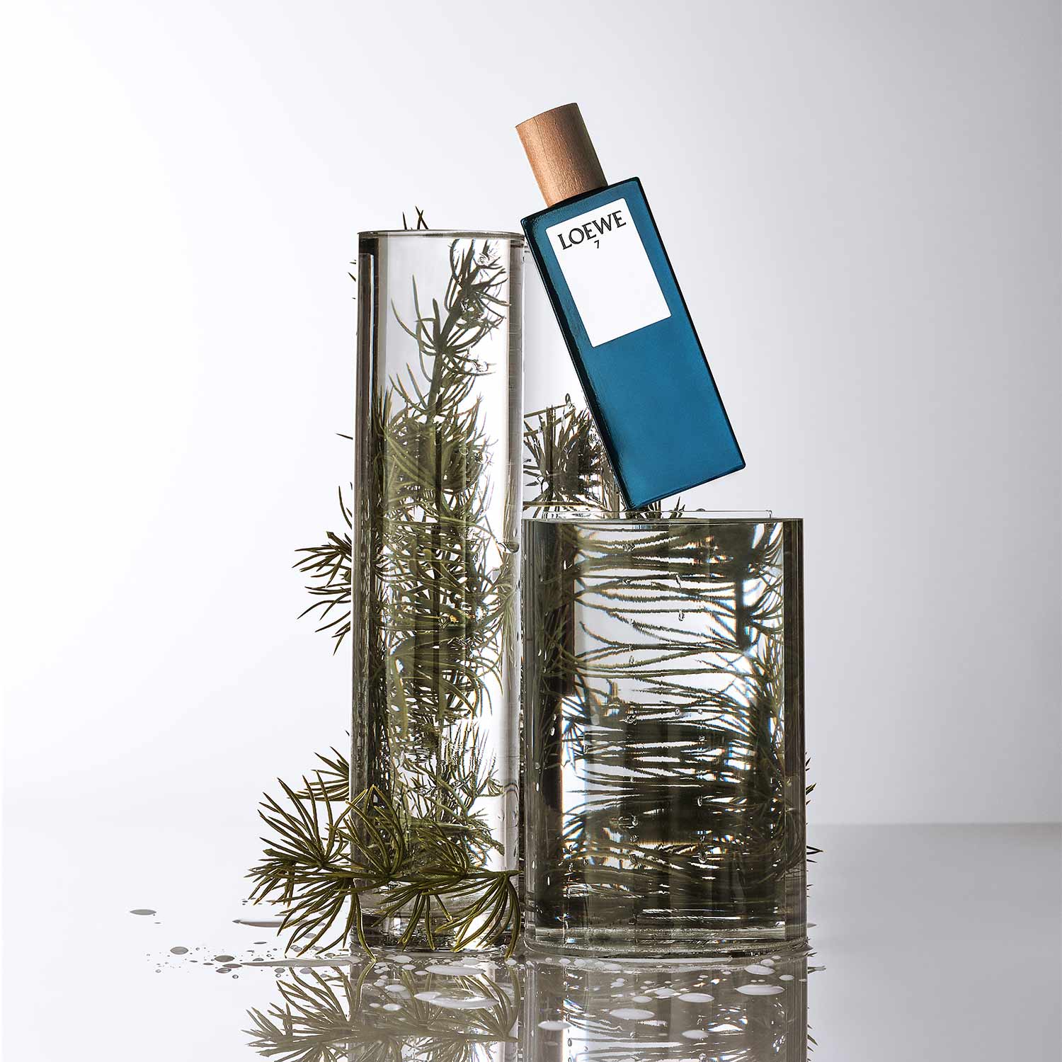 7 Loewe