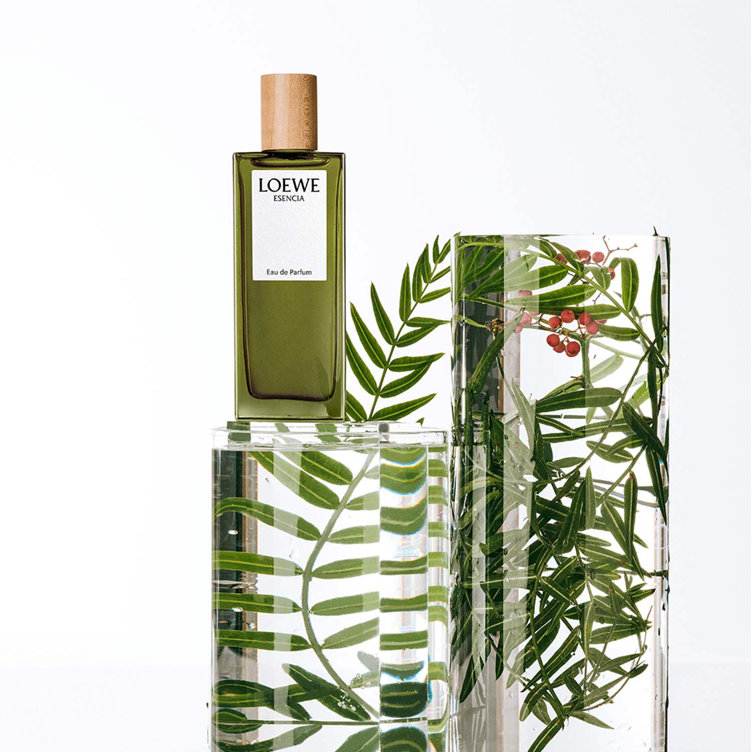 Esencia Loewe