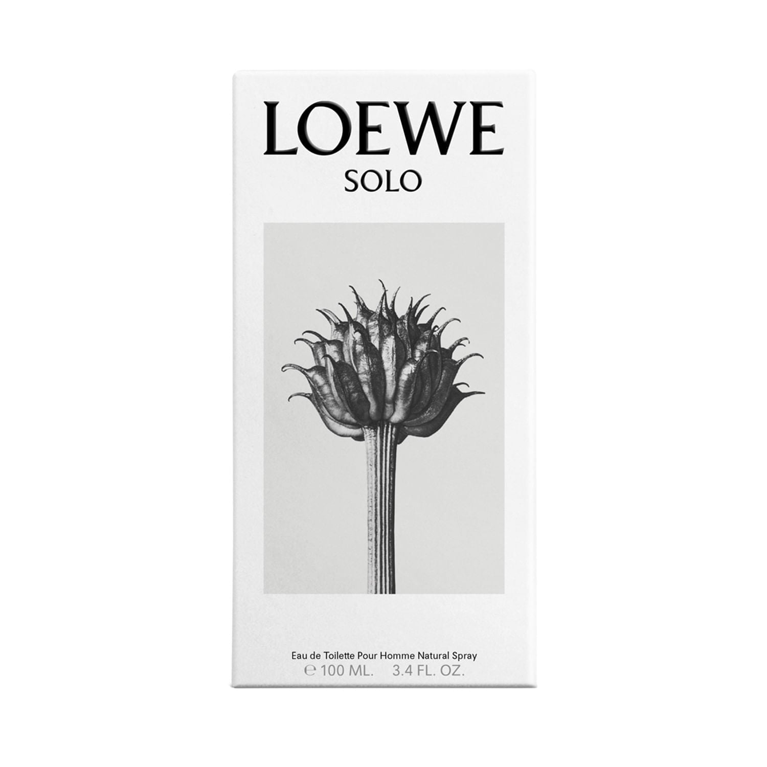 Solo Loewe