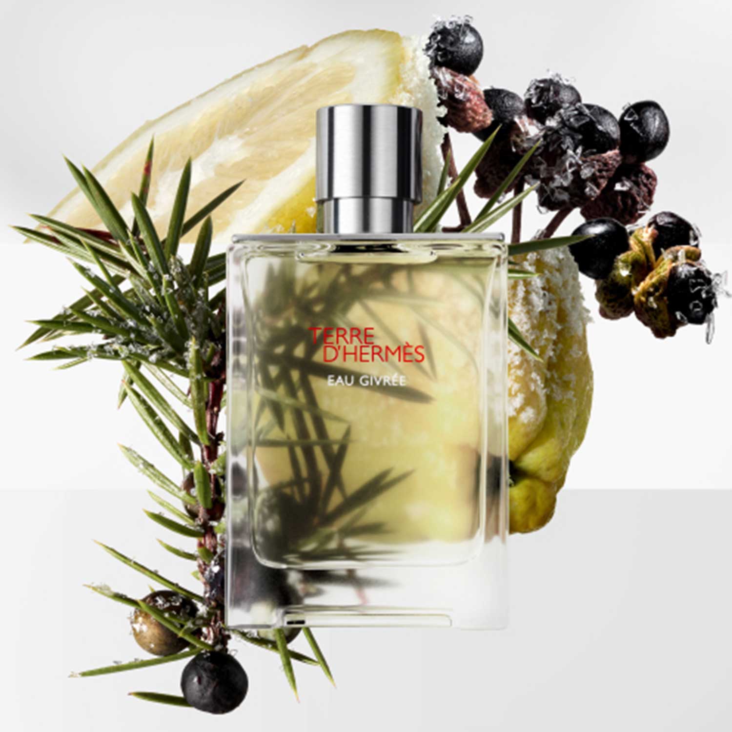 TERRE D'HERMÈS EAU GIVRÉE
