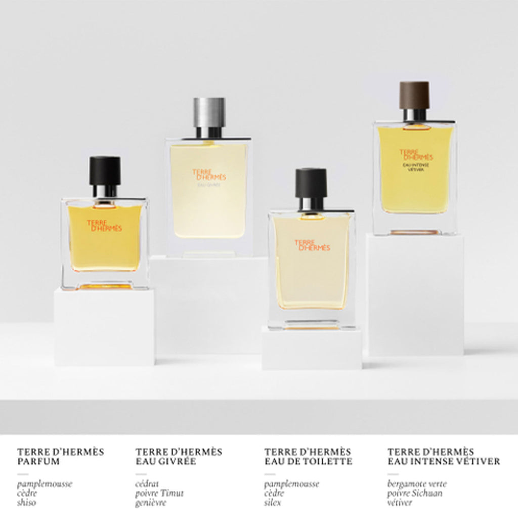 TERRE D'HERMÈS EAU GIVRÉE