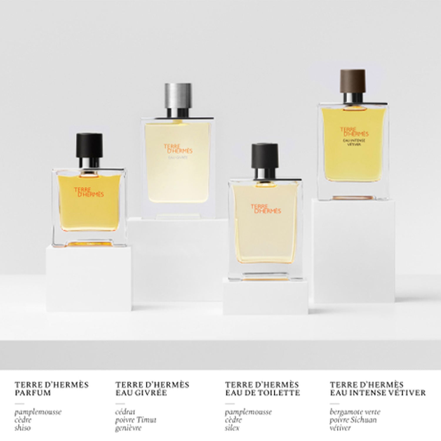 TERRE D'HERMÈS EAU GIVRÉE