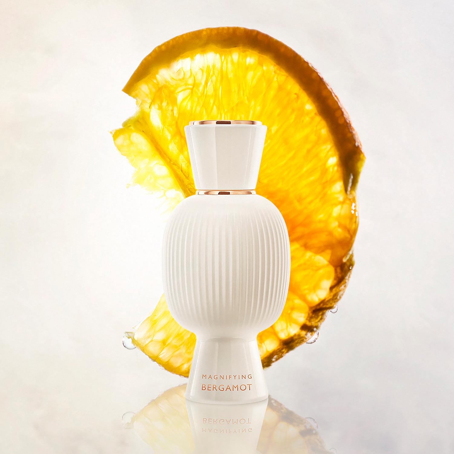ALLEGRA MAGNIFYING BERGAMOT