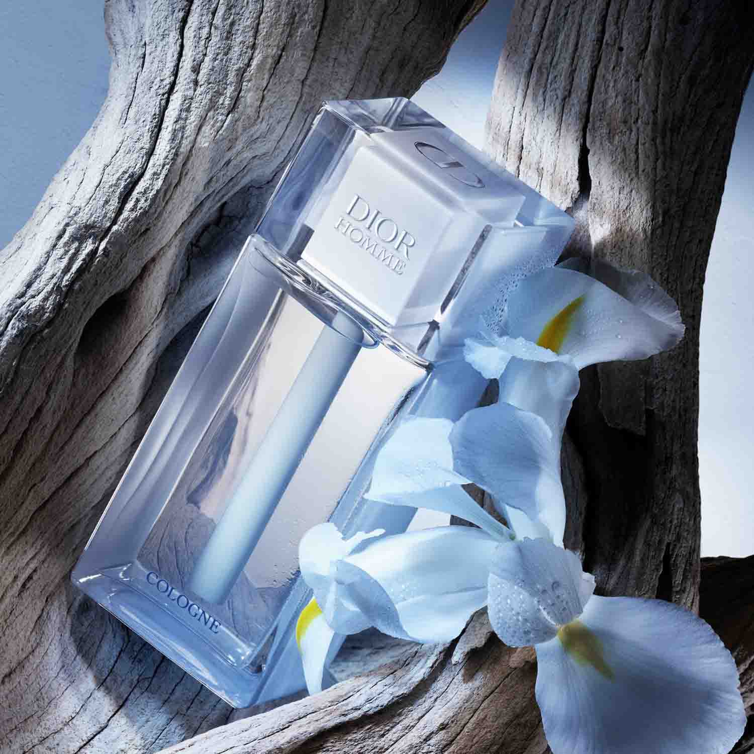 Dior Homme