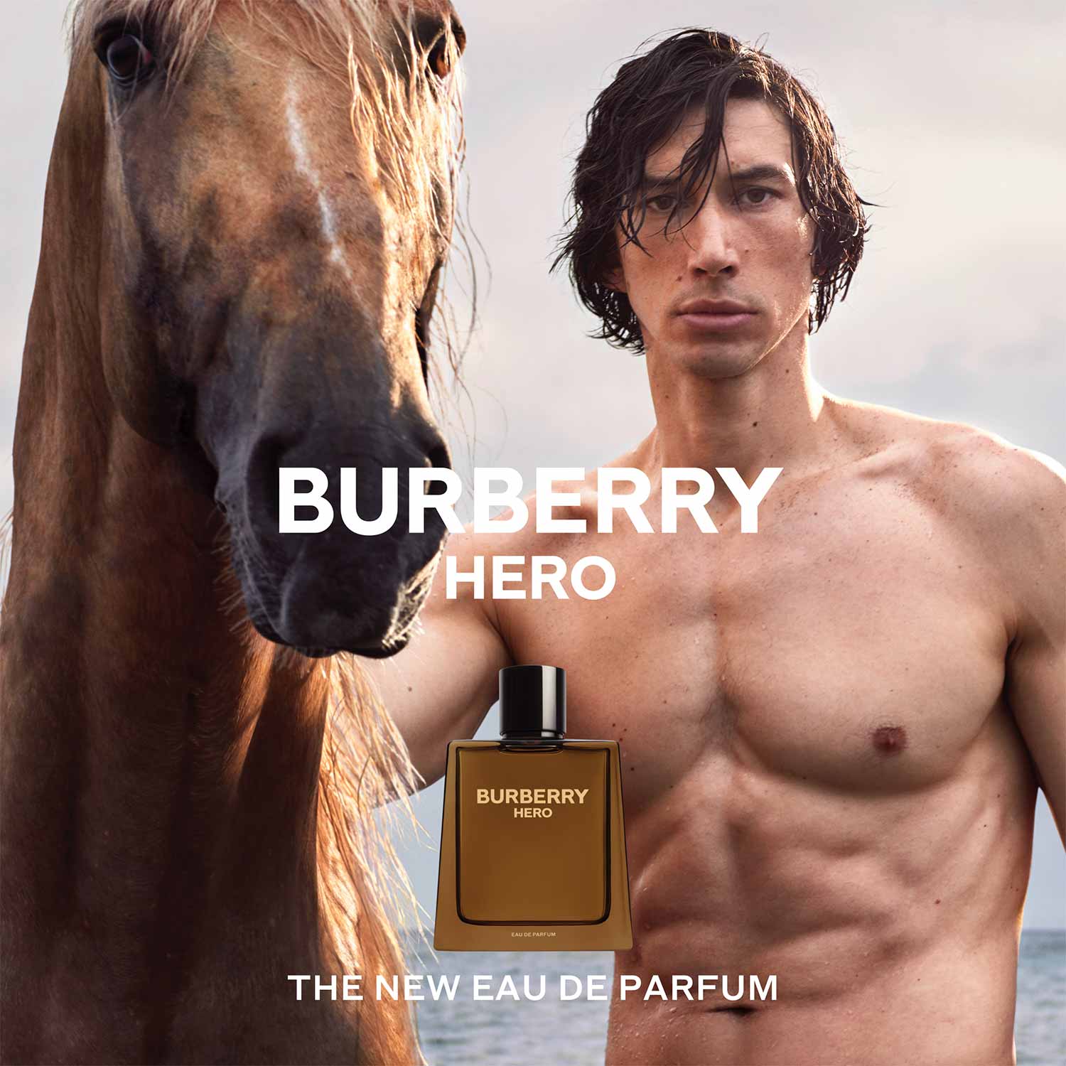BURBERRY HERO