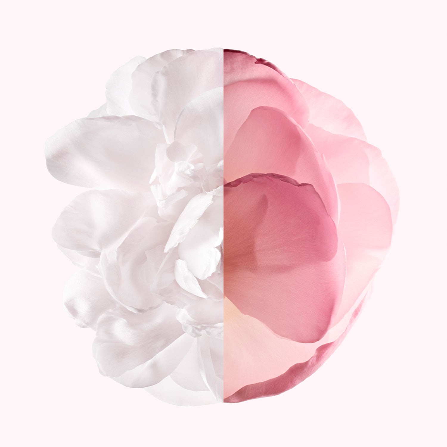 Irresistible Very Floral