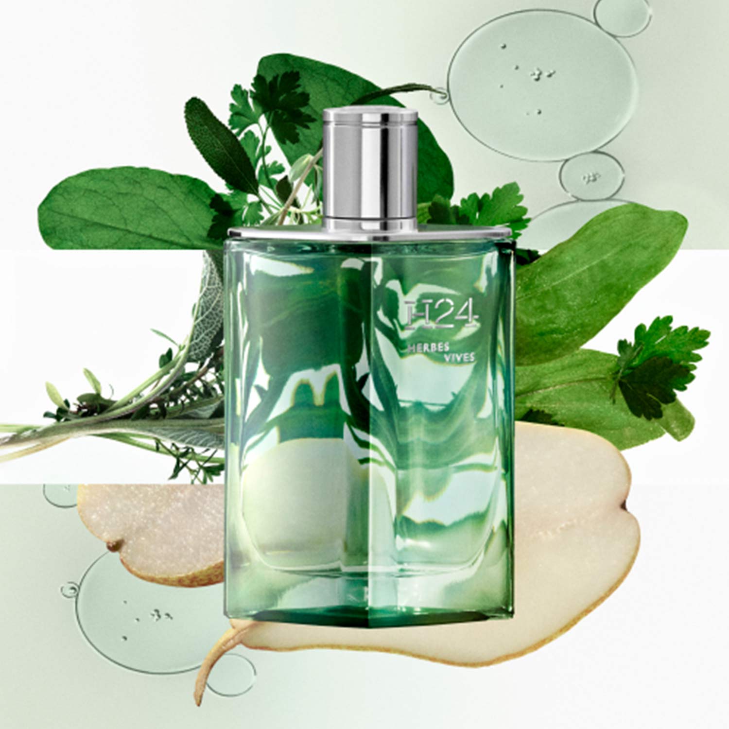 H24 HERBES VIVES