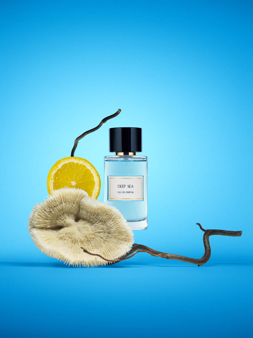 COLLECTION PRIVEE DEEP SEA
