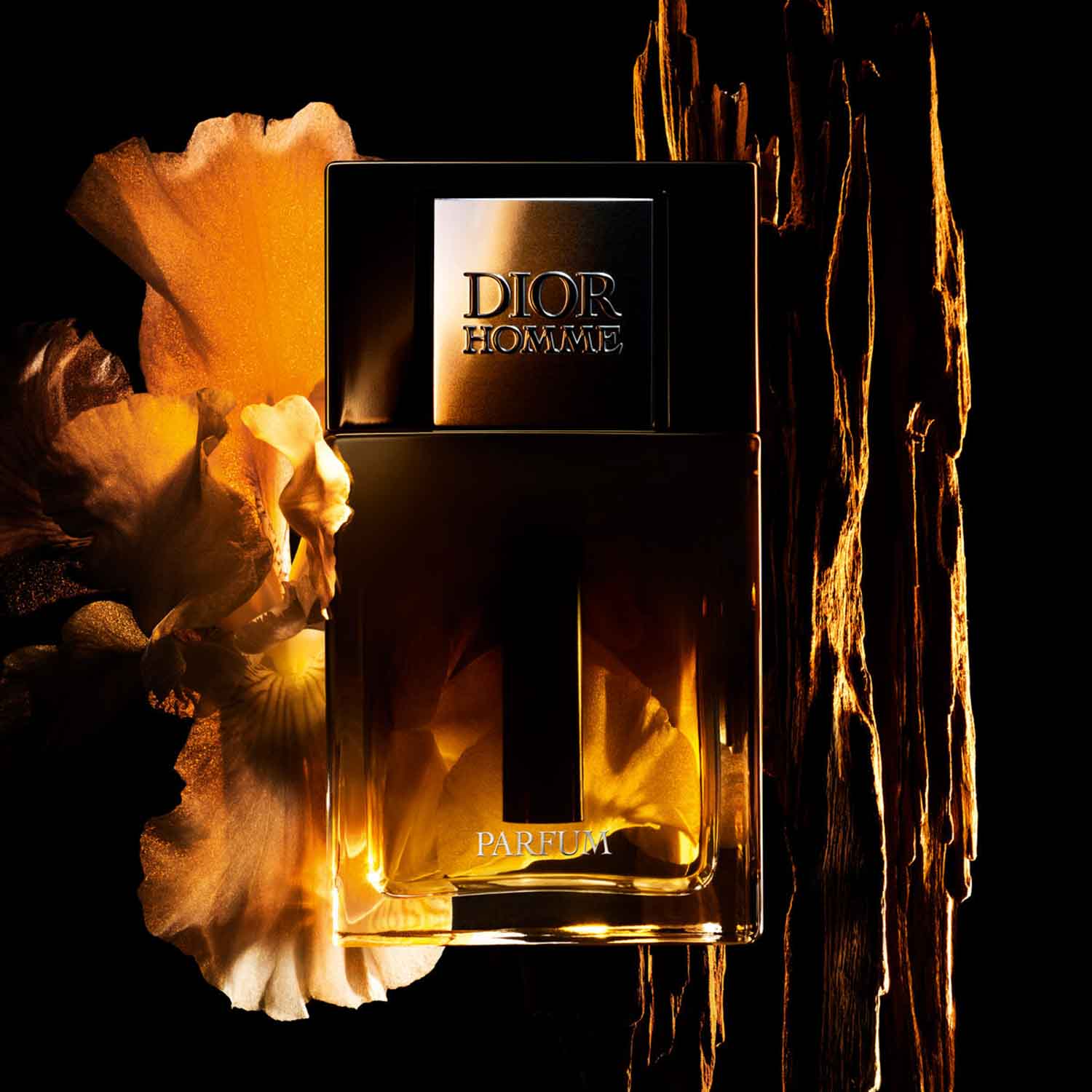 DIOR HOMME