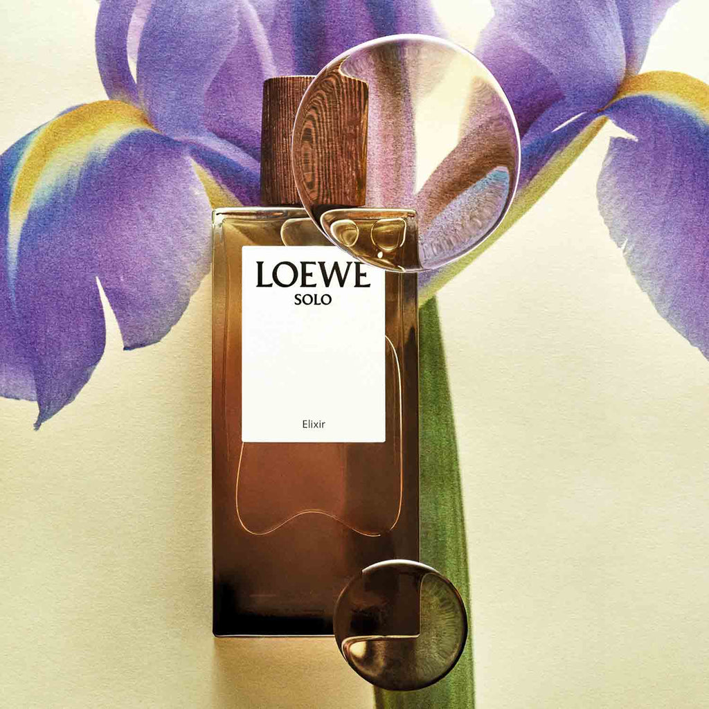 SOLO LOEWE