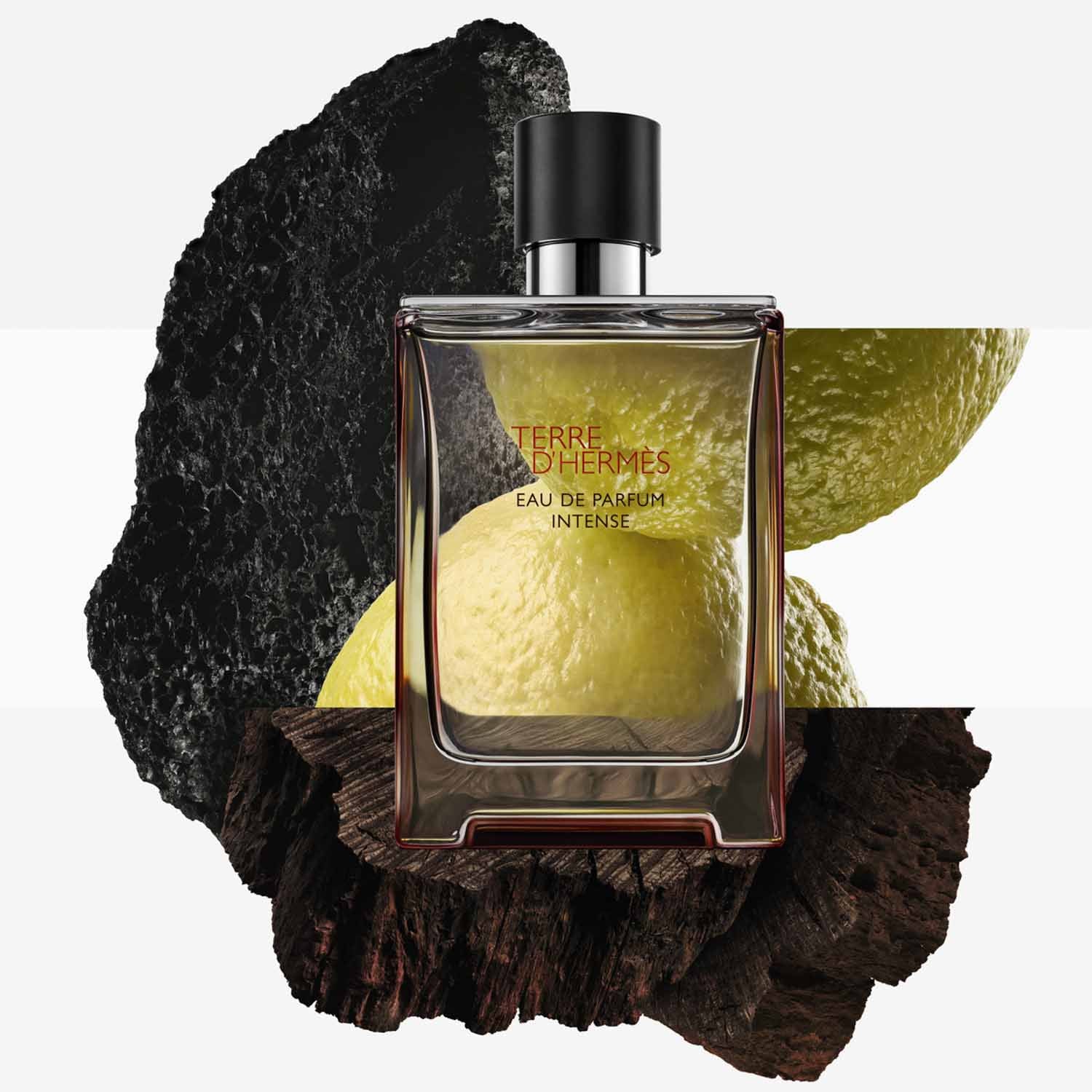 TERRE D'HERMÈS