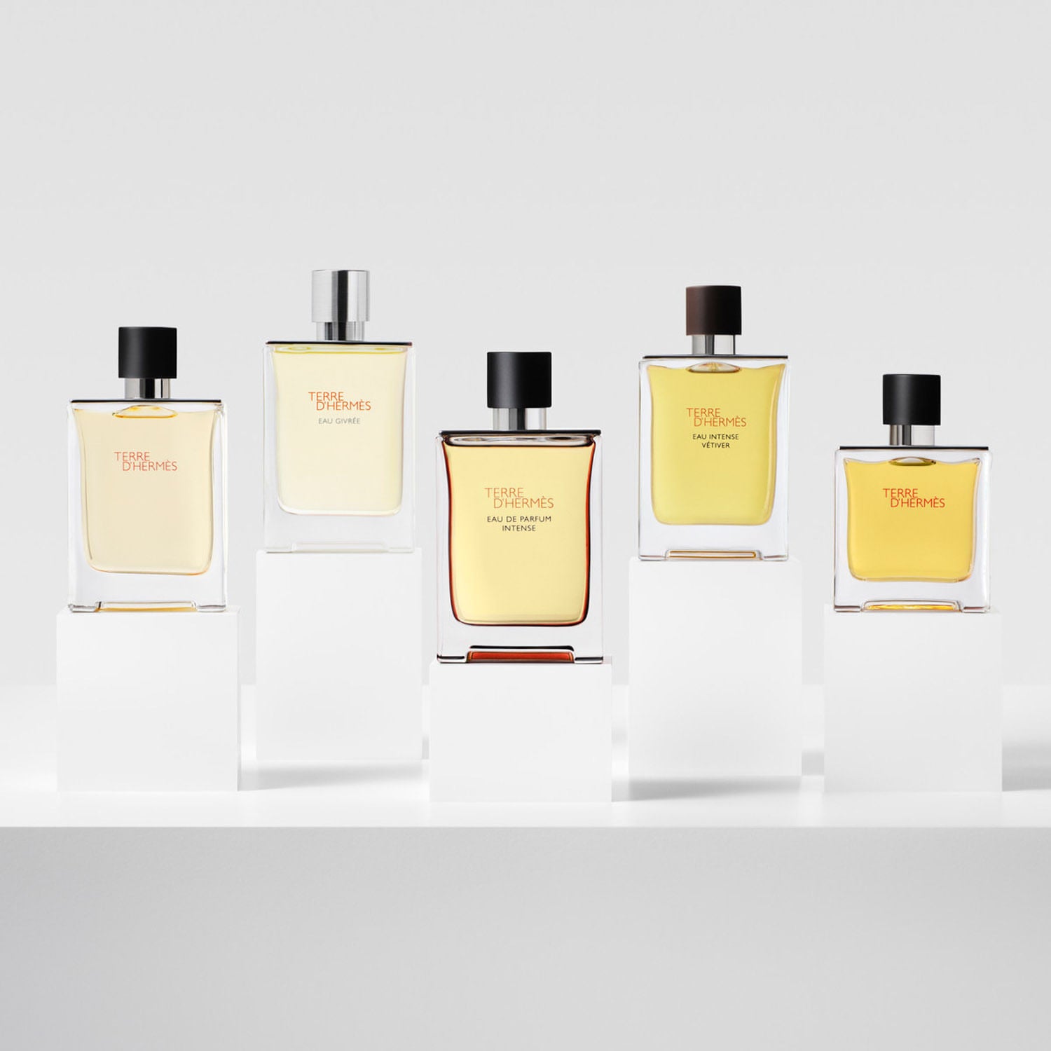 TERRE D'HERMÈS
