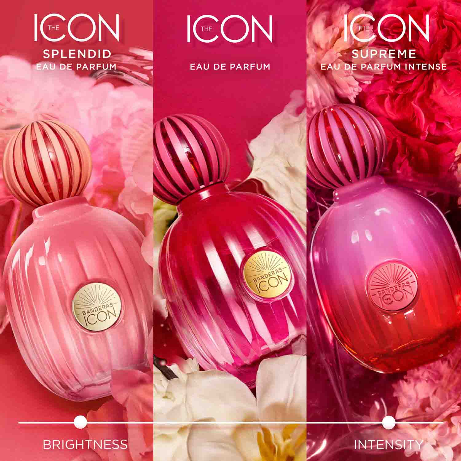THE ICON SUPREME FOR WOMEN INTENSE