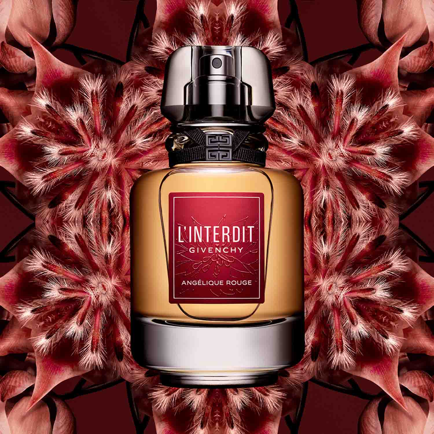 L'Interdit Angélique Rouge
