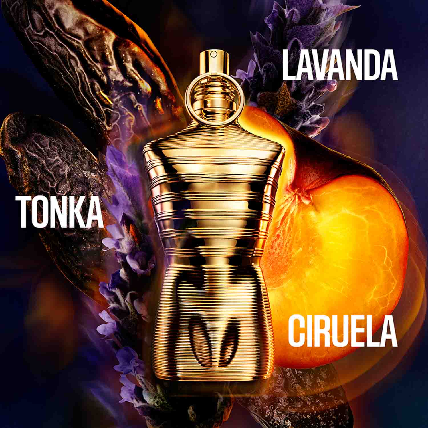 LE MALE ELIXIR ABSOLU