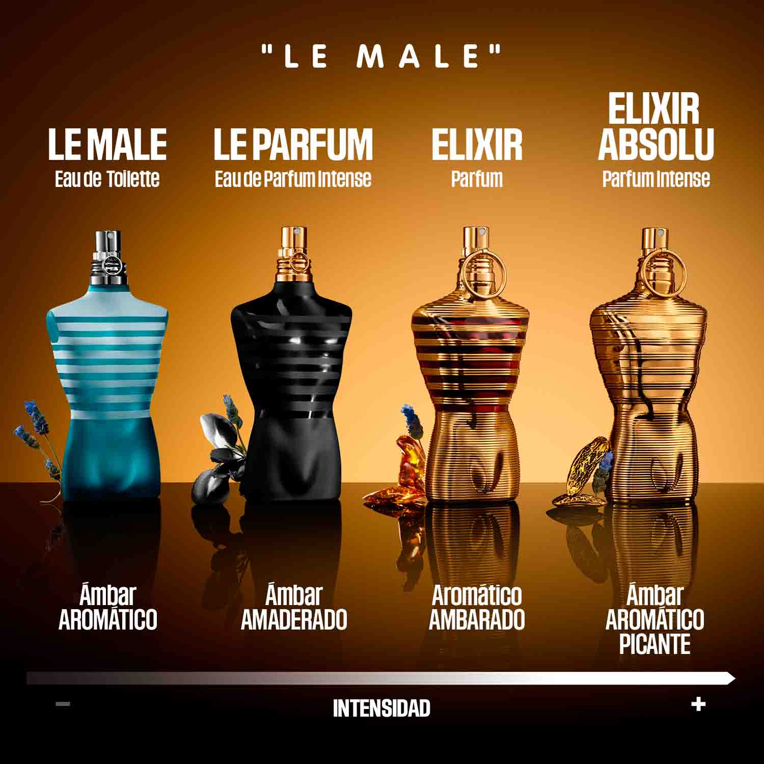 LE MALE ELIXIR ABSOLU