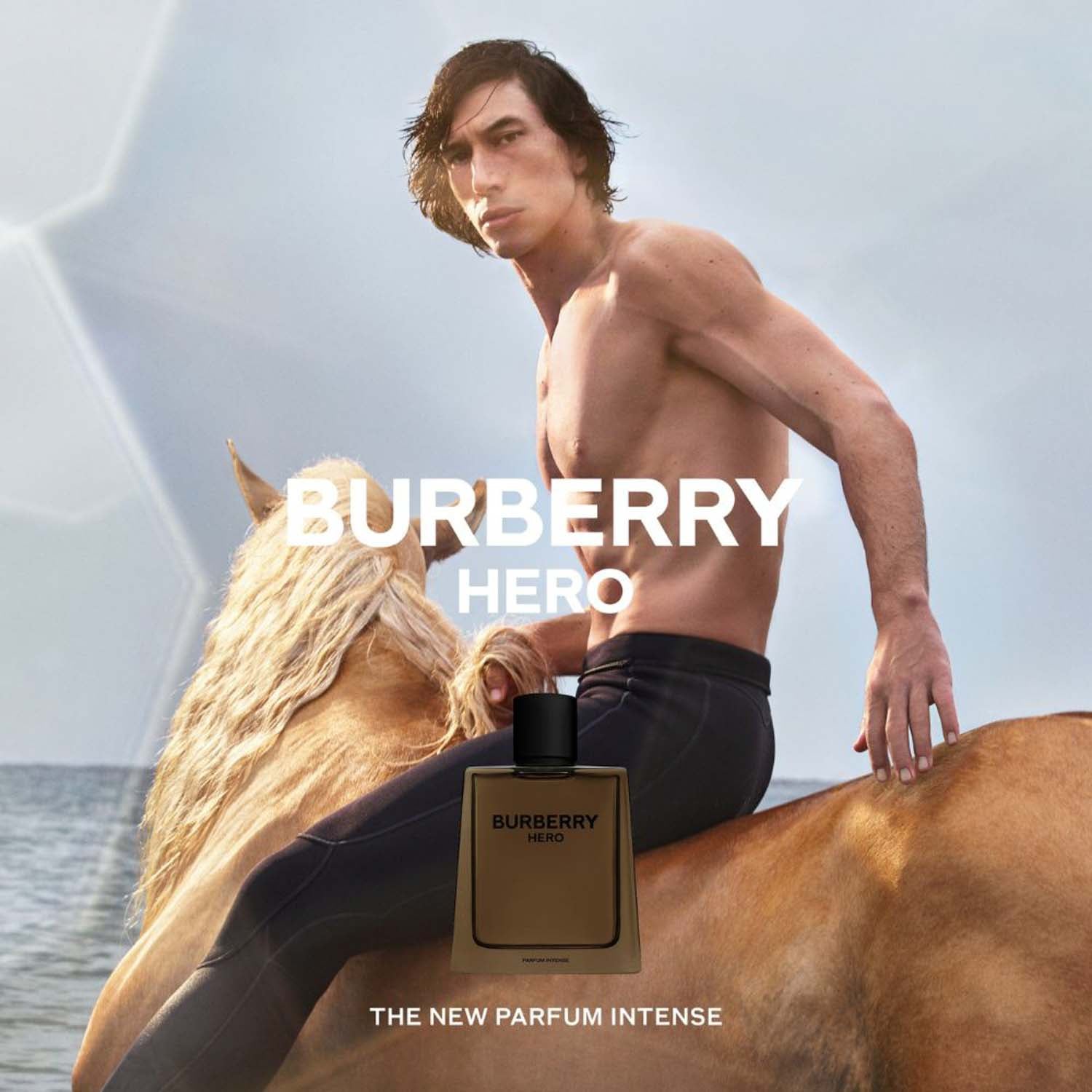 BURBERRY HERO