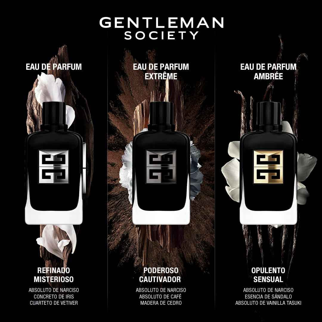Gentleman Society Ambrée