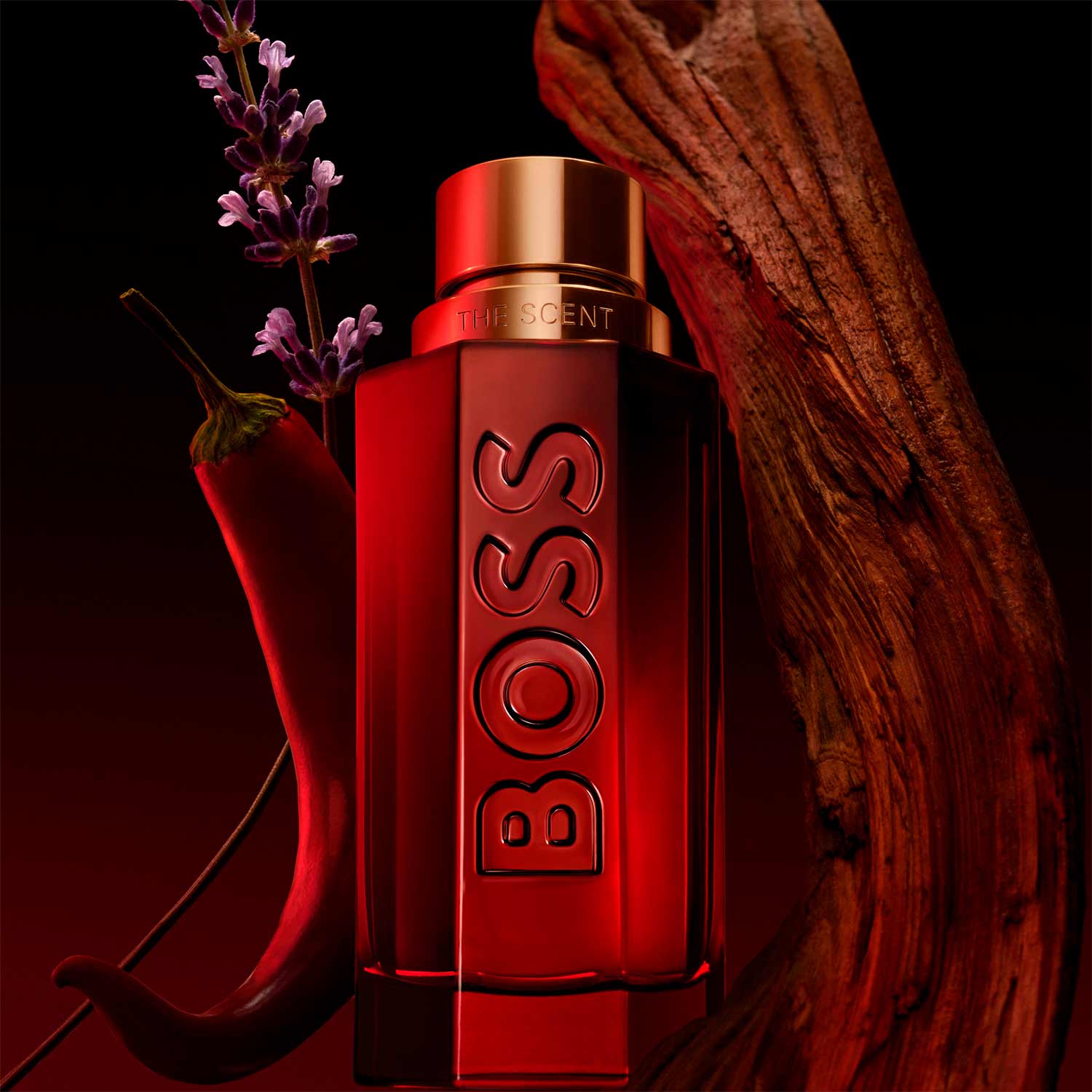 BOSS THE SCENT FOR HIM