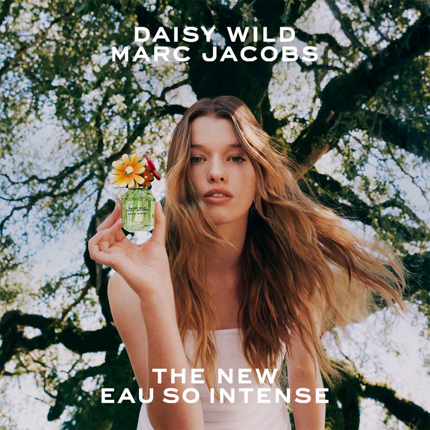 DAISY WILD EAU SO INTENSE