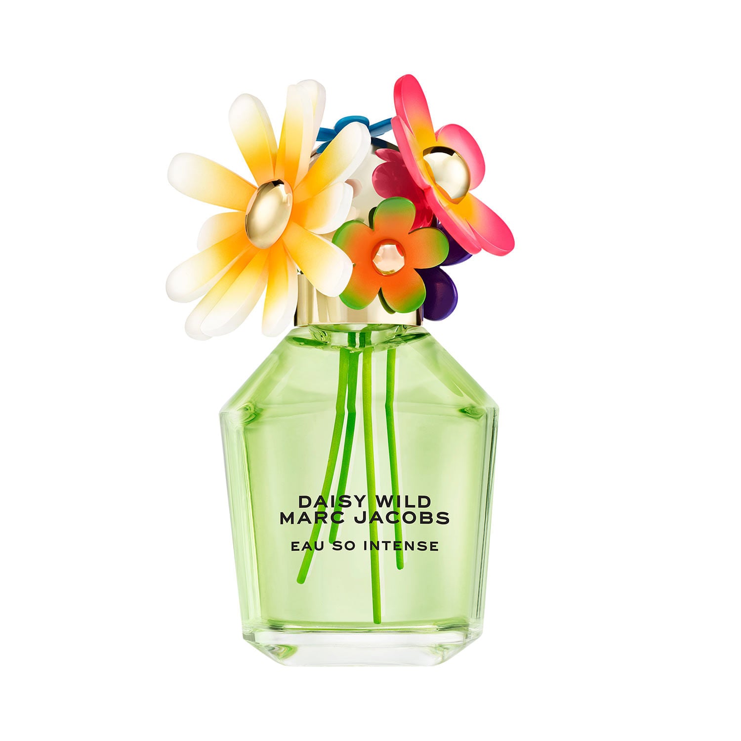 DAISY WILD EAU SO INTENSE