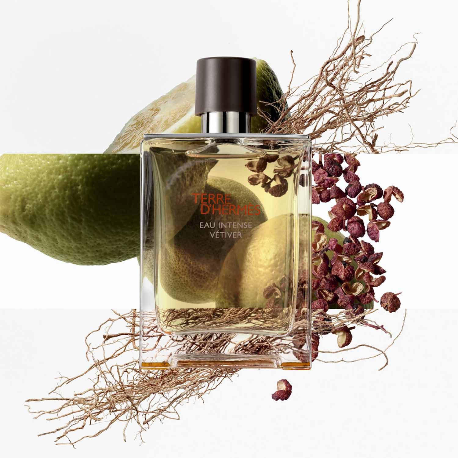 TERRE D'HERMÈS EAU INTENSE VÉTIVER EDP