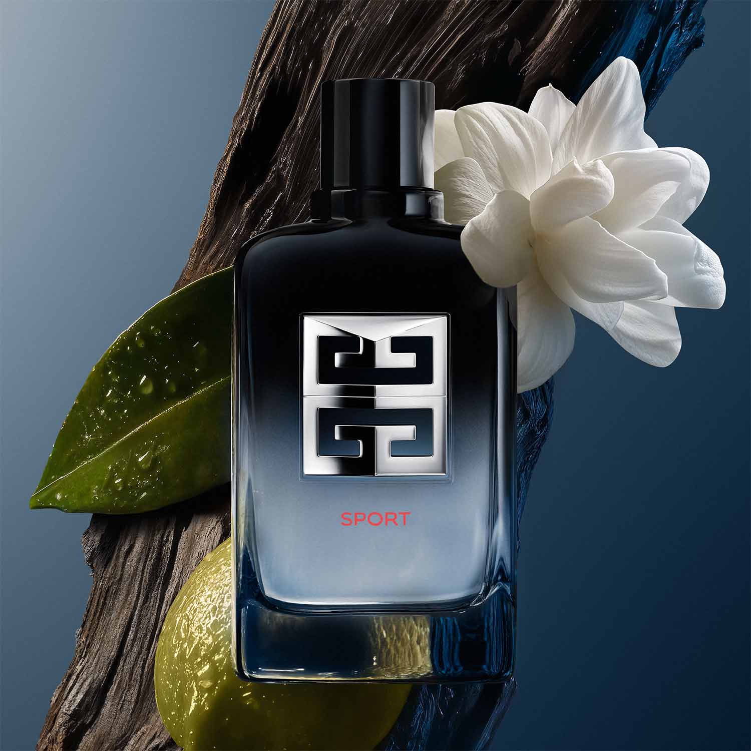 Gentleman Society Sport