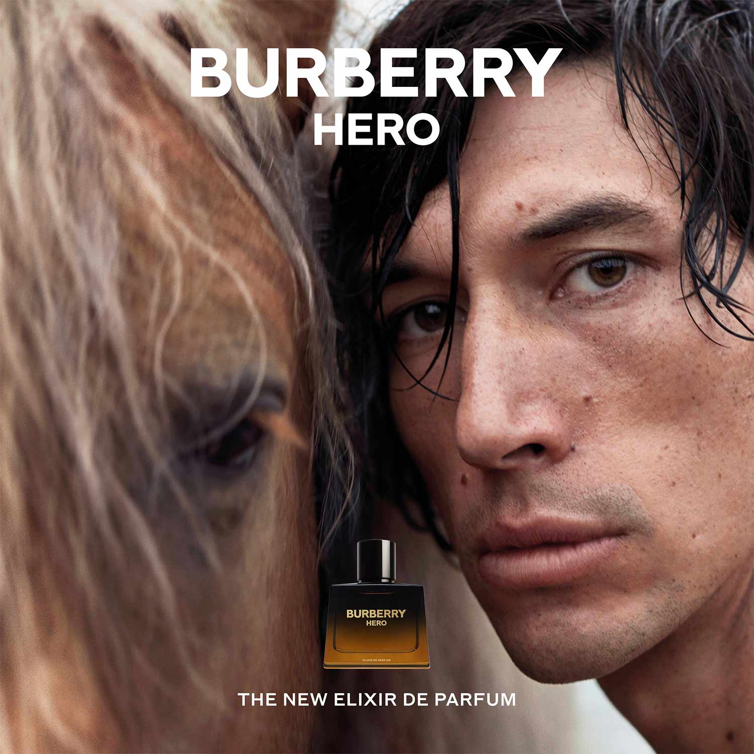 BURBERRY HERO