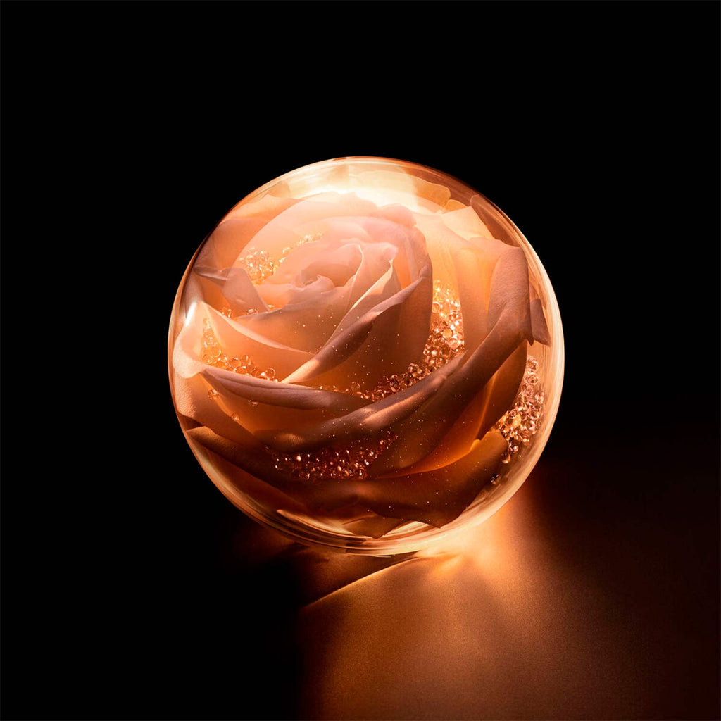 Prestige La Micro Huile De Rose Advanced Serum