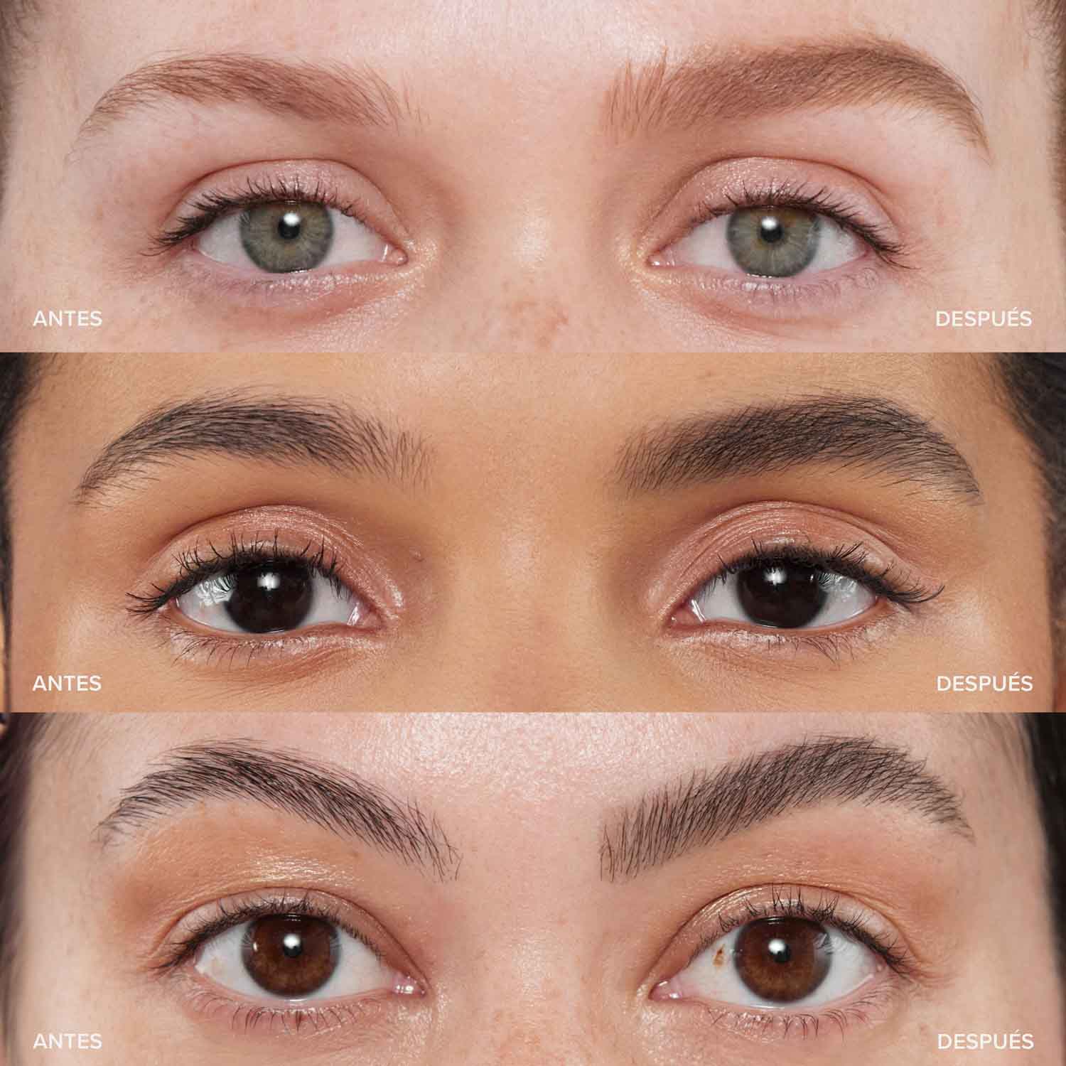 BROW WIZ DELUXE