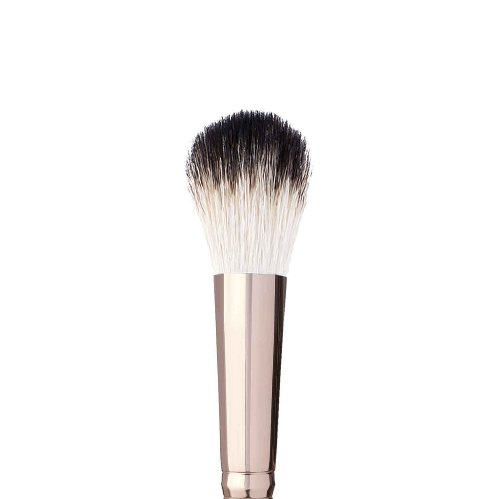 BRUSH PRO