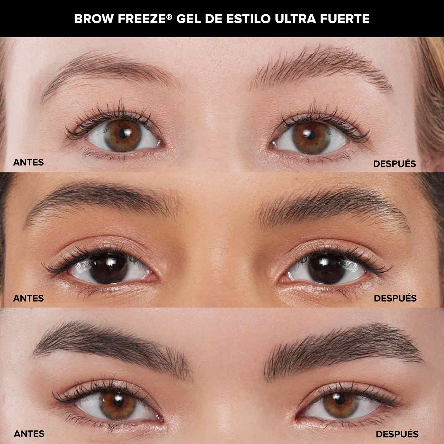 SCULPTED &amp; DEFINED BROW TRIO