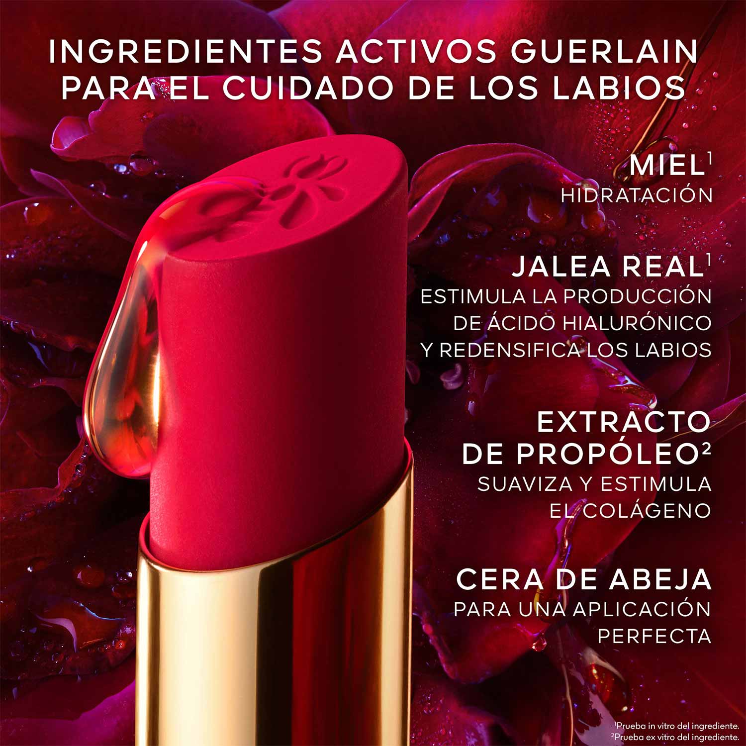 KISSKISS BARRA DE LABIOS MATTE