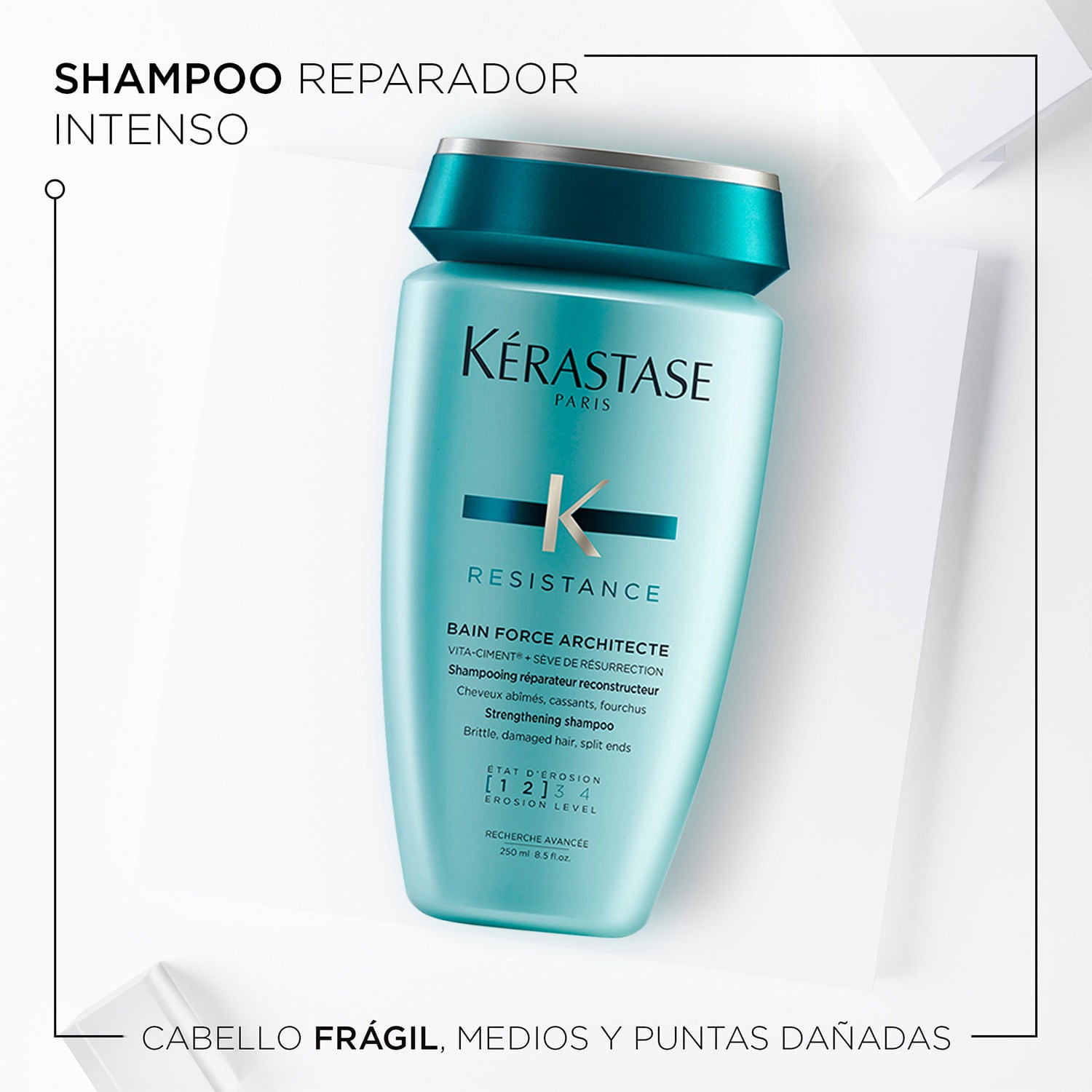 Resistance Force Architecte Bain Kerastase