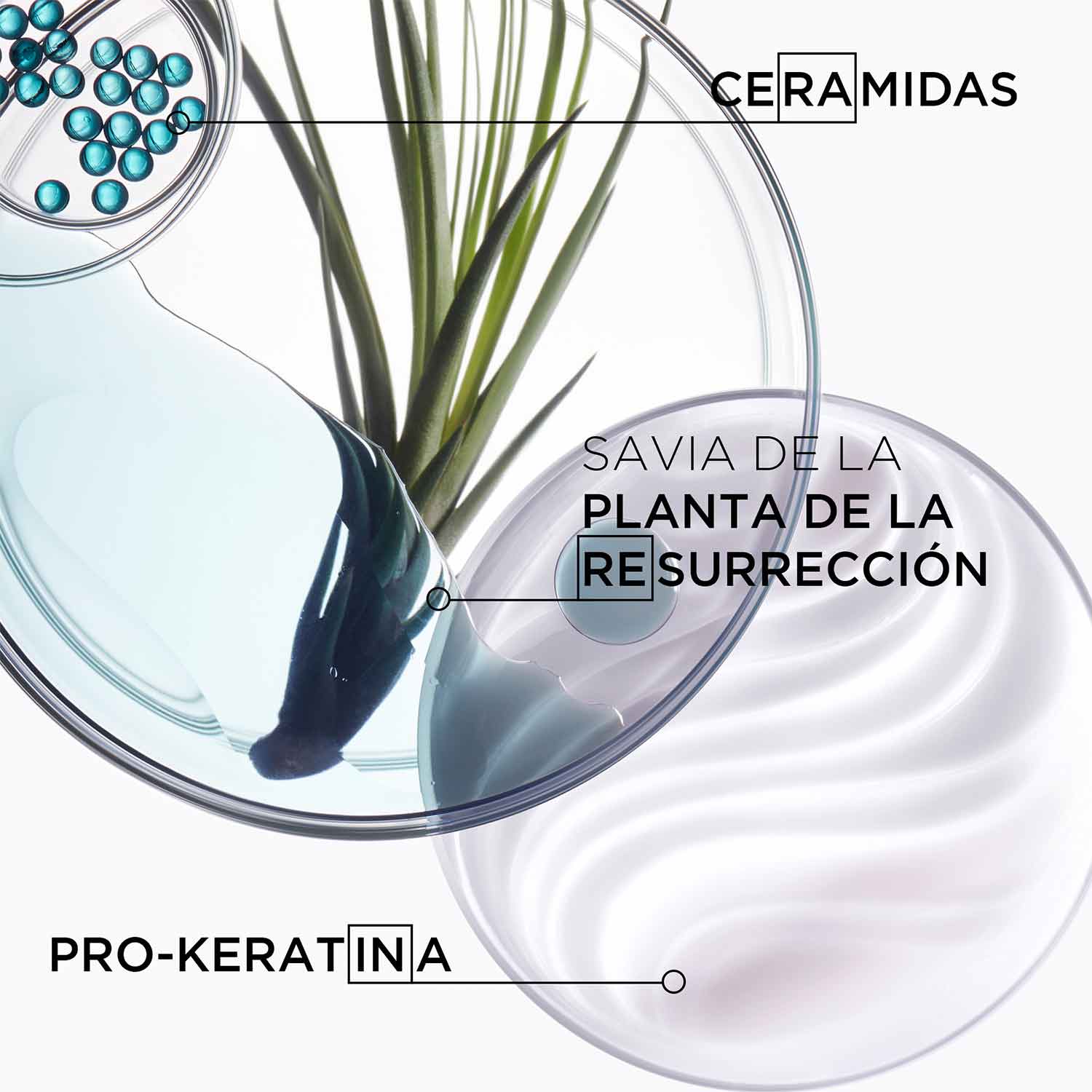 Resistance New Ciment Thermique Kerastase