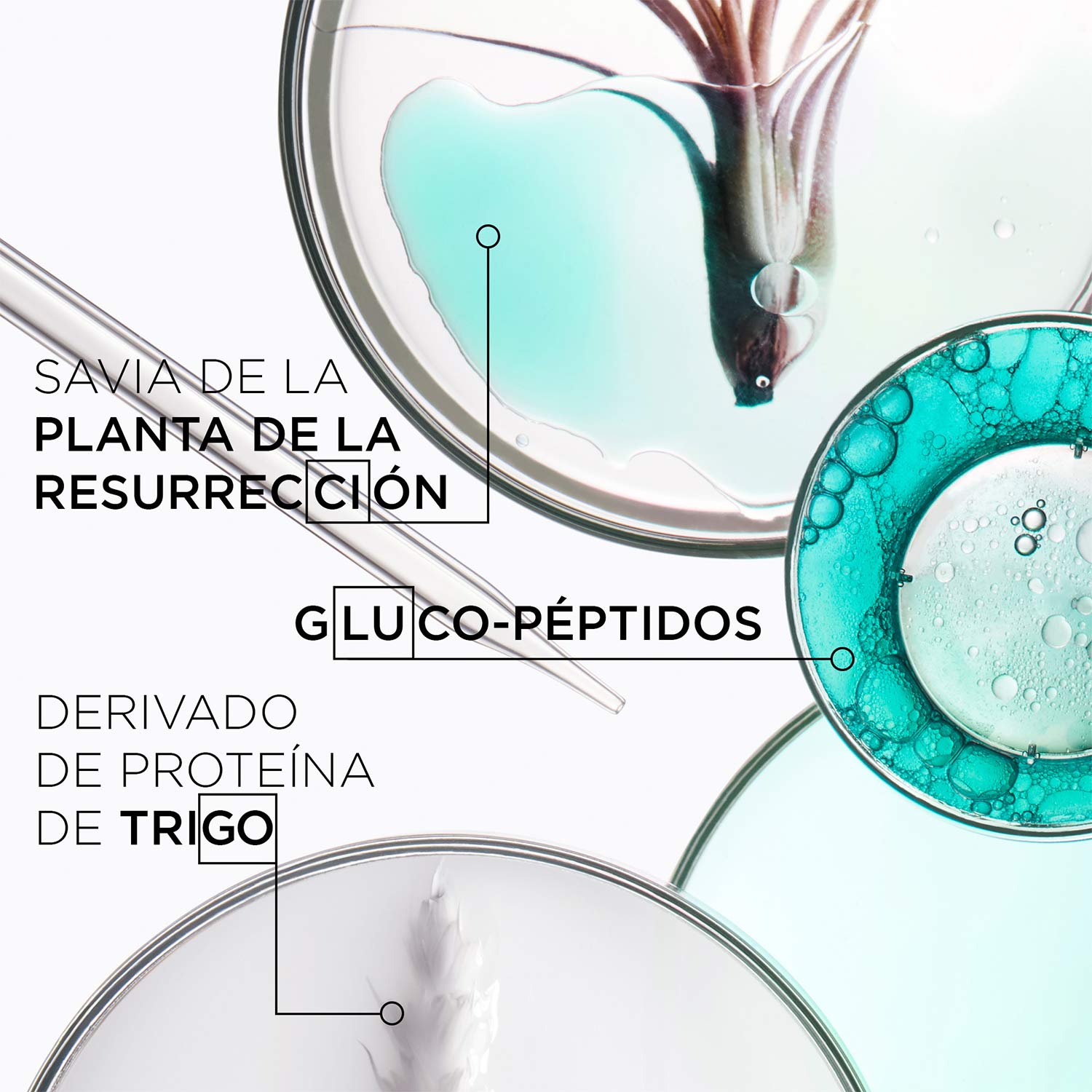 RESISTANCE THERAPISTE MASQUE