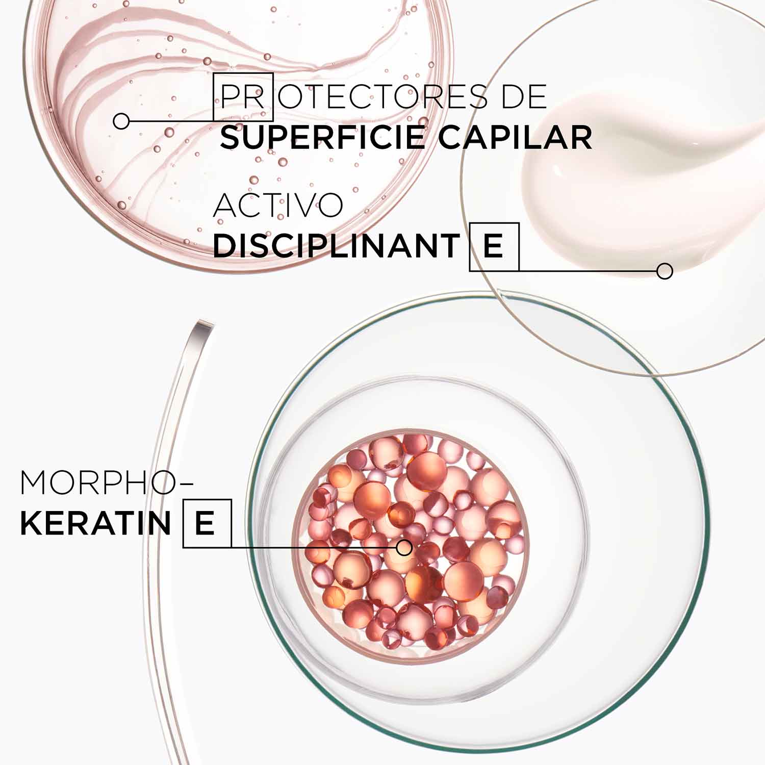 Discipline Fluidissime