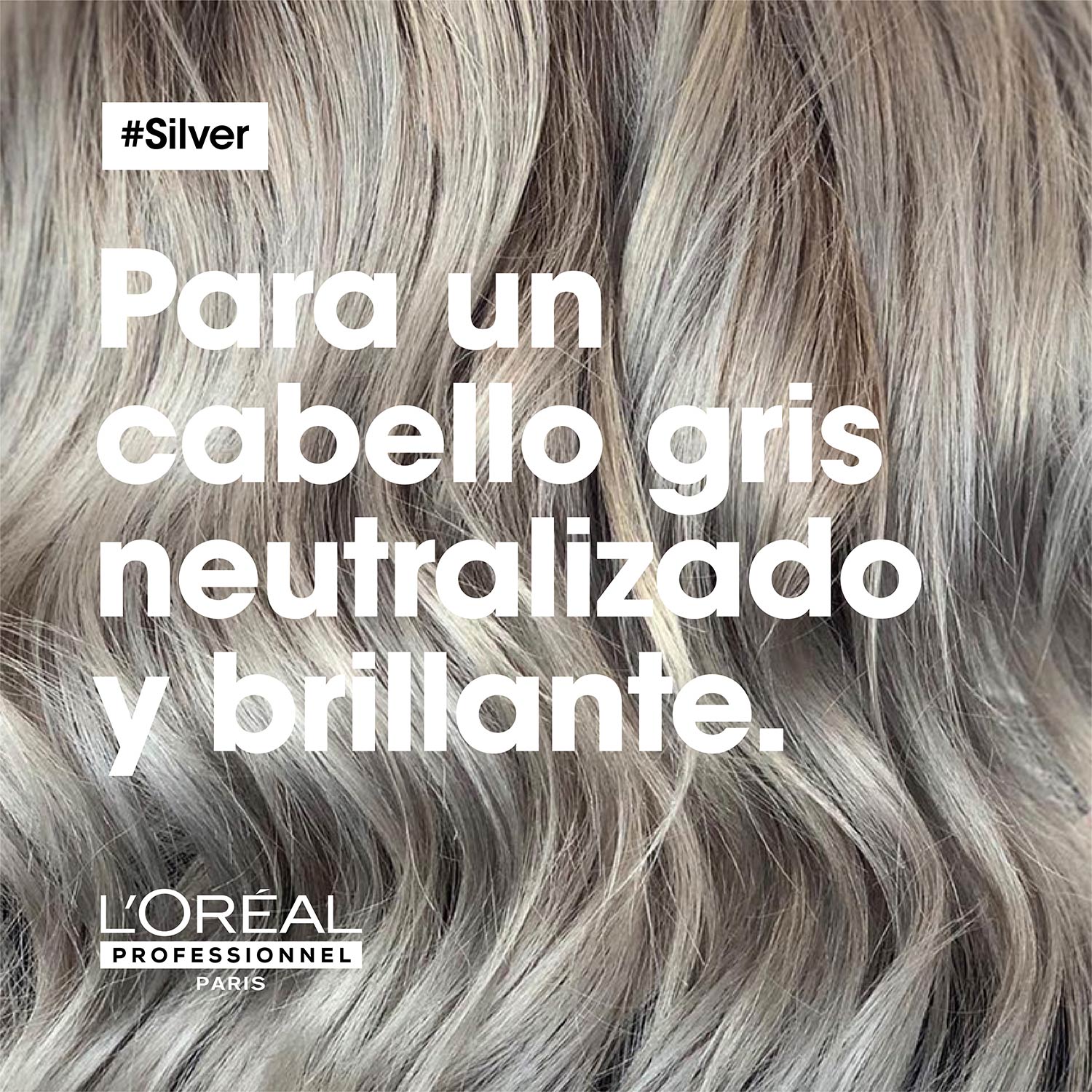Silver Shampoo L’Oréal Professionnel
