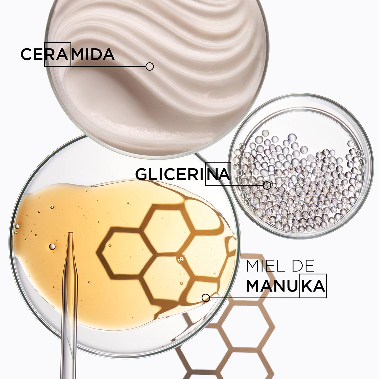 Curl Manifesto Huile Incroyable Repair