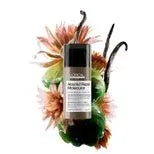 ABSOLUT REPAIR MOLECULAR
