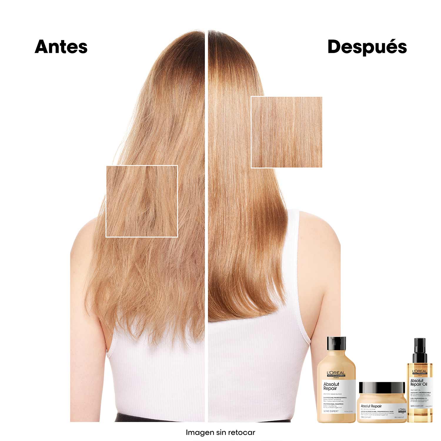 Absolut Repair Oil