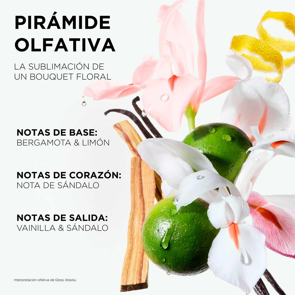 GLOSS ABSOLU CREME MASQUE HYDRA-GLAZE