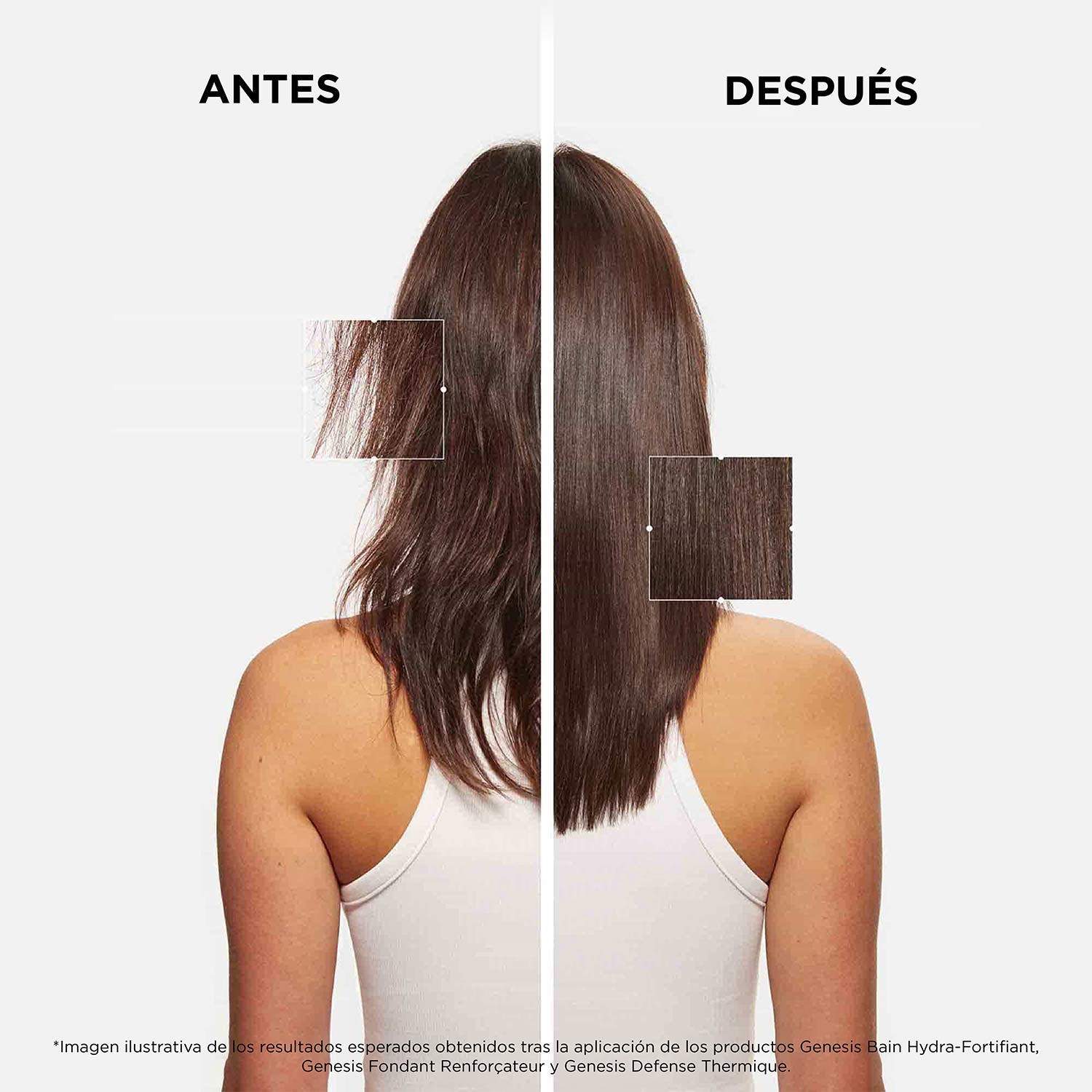 GENESIS SERUM FORTIFIANT ANTI-CHUTE